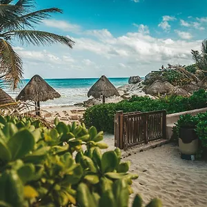 hotel-calaluna-tulum.quintano-roohotels.com/